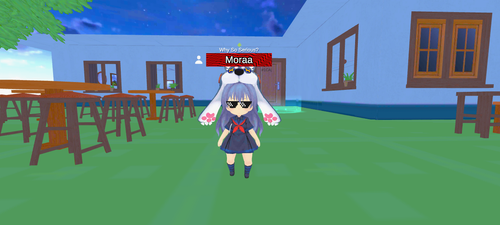 imagen.png