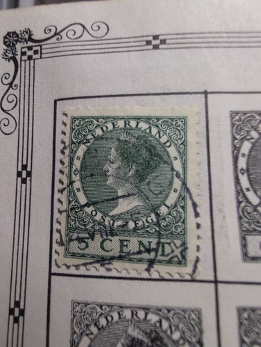 35011dbcddcc.jpg