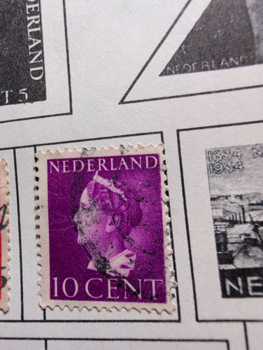 cbebf4422746.jpg
