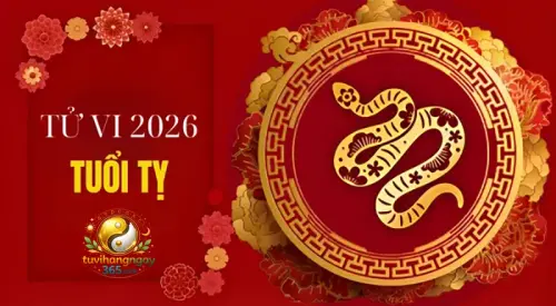 Tử vi tuổi Tỵ năm 2026 – Năm chuyển vận, lấy trí làm gốc, lấy tĩnh chế động.webp