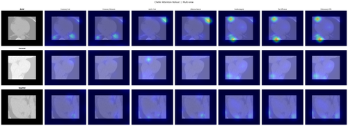 sample CT chefer multiview.png
