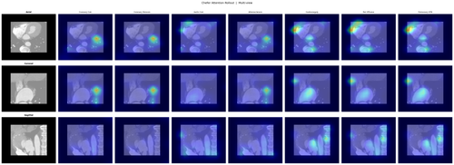 sample CTA chefer multiview.png