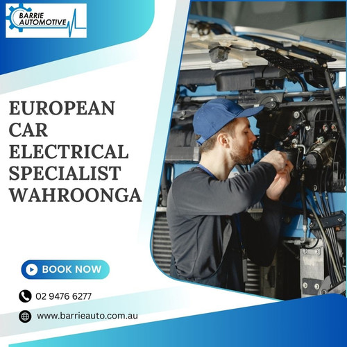 European car electrical specialist Wahroonga.jpg