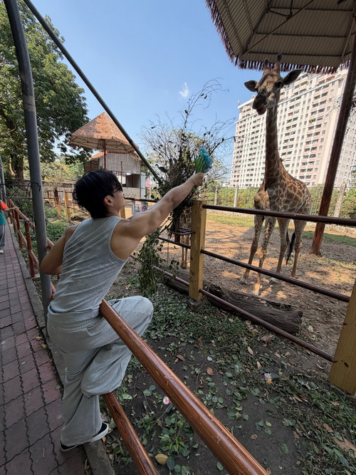 nhim.n e 1770720468 3829402142646554250 18481909053.jpg