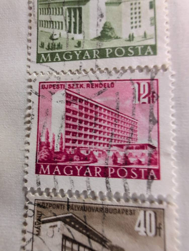 c596515c914a.jpg