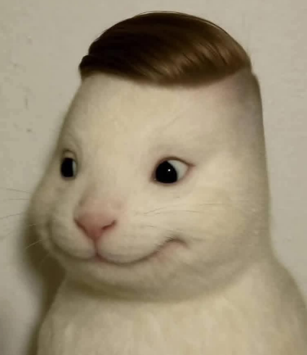 temp.png