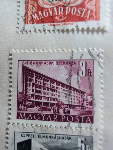 edf5c60f8c87.jpg
