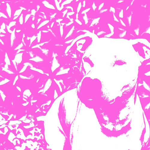 ca22010b8ab6.png