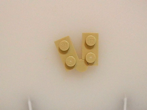 091038562.jpg