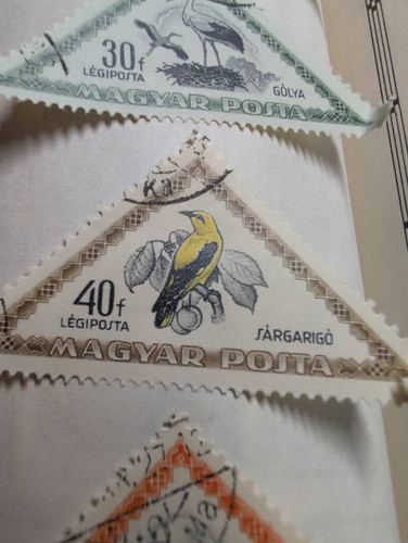 56b8afa55858.jpg