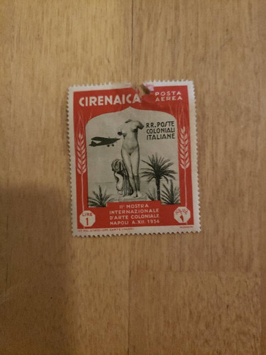 6de9210982c1.jpg