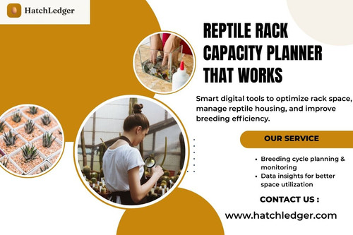 Reptile Rack Capacity Planner for Efficient Space Use.jpg