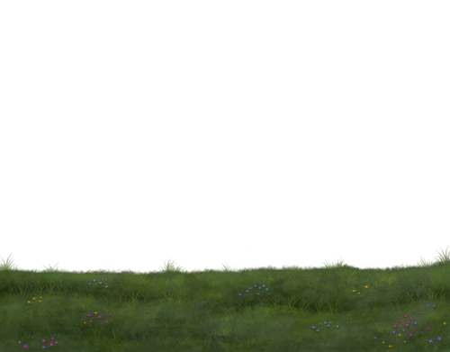 IMG 0125.png