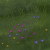 IMG 0127.png