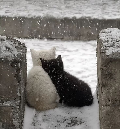 HDpT2 HWQAE50pg.png