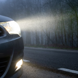 Bo 2 bong den pha Philips Ultinon Pro5000 LED H11 11362 U50CW X2 15W 13 (2)