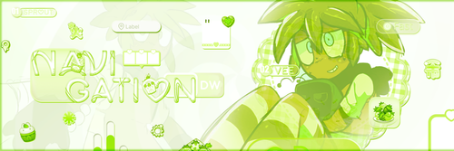IMG 5584.png