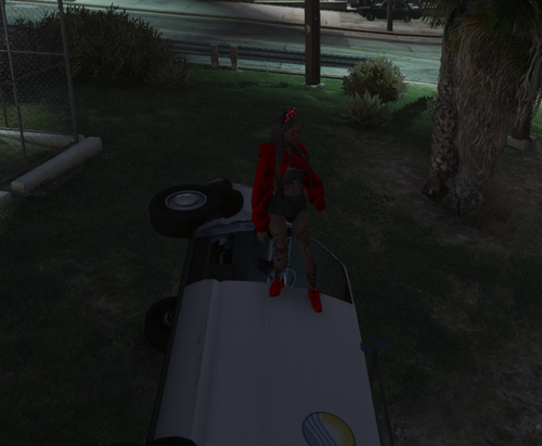 FiveM GTAProcess iN2UCuMgWH.png