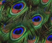 QQ20260318 104003.png