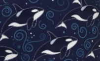 QQ20260318 103044.png