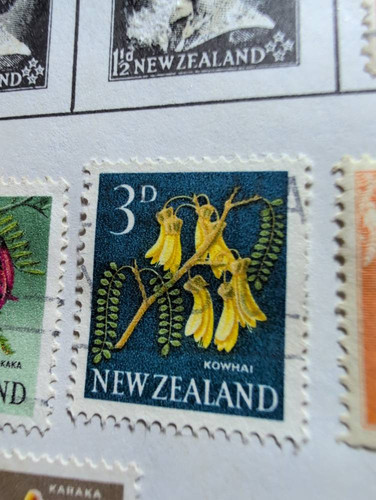 f47603d5e207.jpg