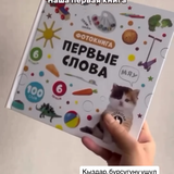 06de40bb3c9b.png