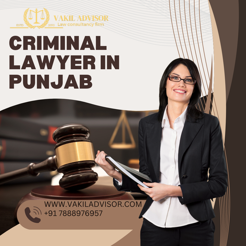 Criminal Lawyer in Punjab (8).png