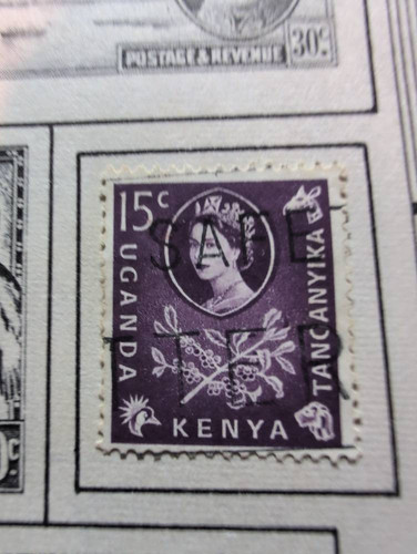 7032c9e208e1.jpg