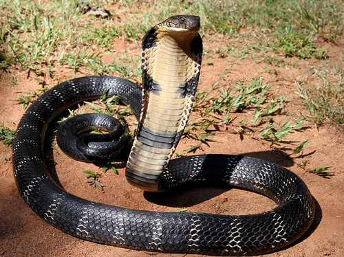 1000053708.jpg