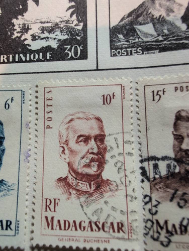 0b7248279767.jpg