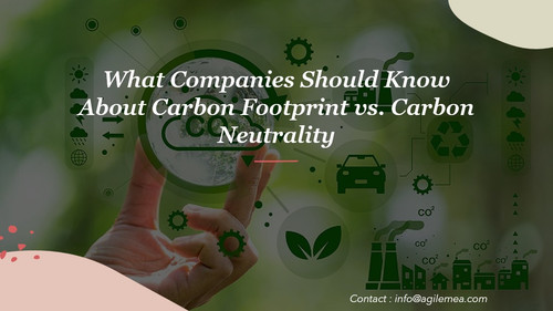 Carbon footprint.jpg