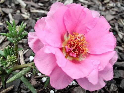 51xglxyd4n L AC UF894 1000 QL80.jpg