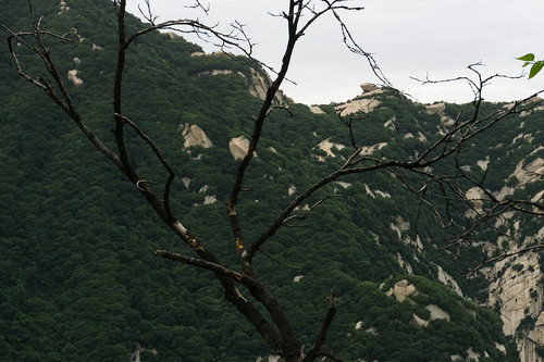img 0047 5d39499661.jpg