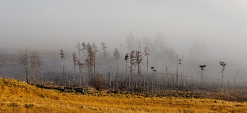 img 0050 2f1e05971f.jpg