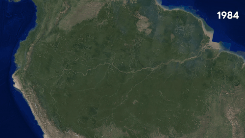 img 0214 023f62366e.gif