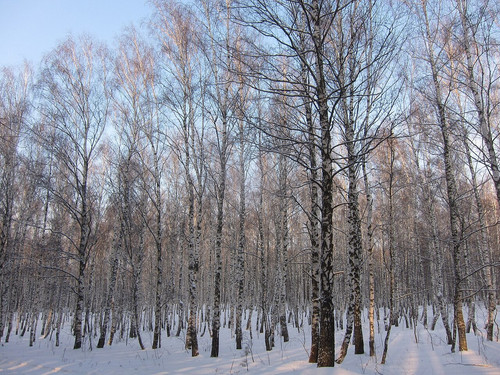 img 0244 6ef30a12c0.jpg
