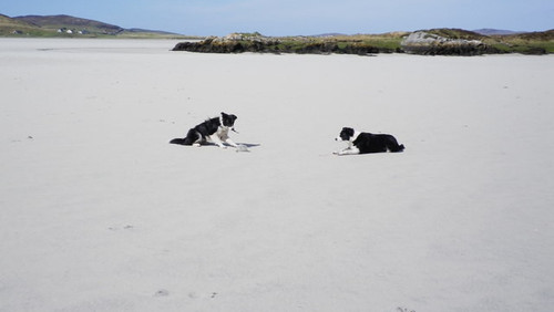 img 0175 aaa160c19b.jpg