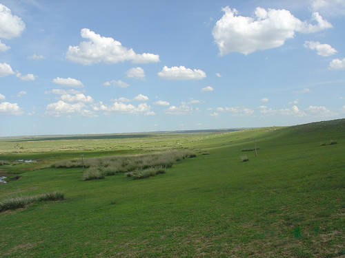 img 0194 9d60f2e3c4.jpg