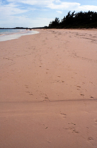 img 0148 f7c6bfa6bf.jpg