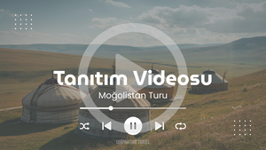 TV 10.png