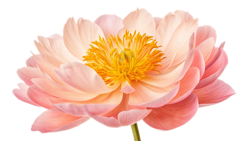 772e88313600.png
