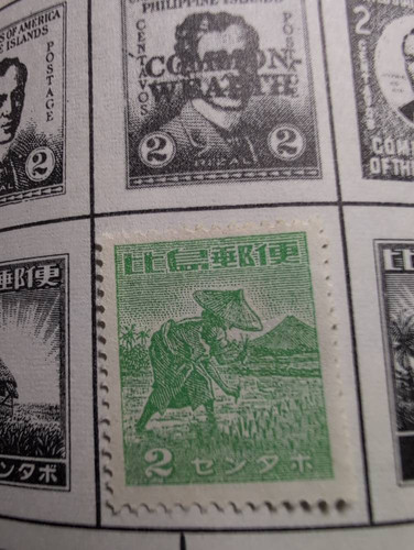 217b1864d47e.jpg