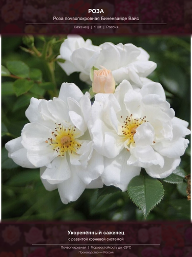 86a08766b44a.png