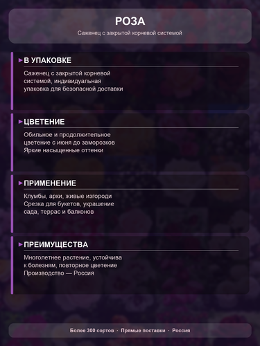 6d2ef0552070.png