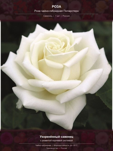 e79d4526a15c.png