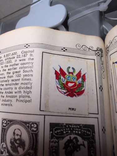 65c8ea915e34.jpg