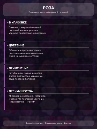 ea620fede04d.png