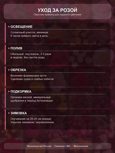 b8a33cdf95e4.png