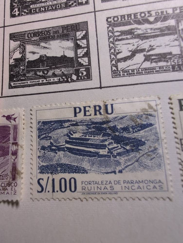 979881376e01.jpg