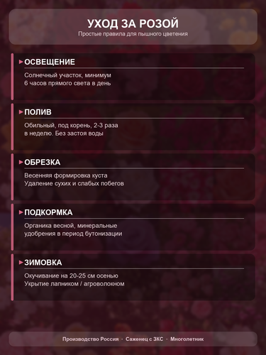 0601d0fa8a68.png